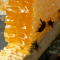 Апитерапия - лечение пчелиным ядом