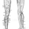 Иглоукалывание по областям тела: нижняя конечность