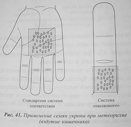 Репейник семена для суставов Репейник семена для суставов