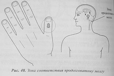 Репейник семена для суставов Репейник семена для суставов