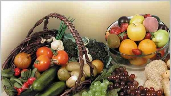 Сочетание продуктов. Герберт Шелтон о переваривании пищи Сочетание продуктов. Герберт Шелтон о переваривании пищи