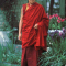 Далай-лама о препятствиях на пути медитации