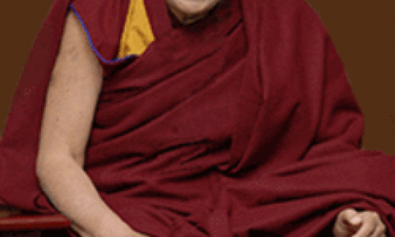 Далай-лама о «своих» и «чужих» линиях преемственности