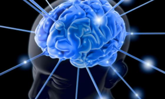 Тренировка полушарий мозга: тесты