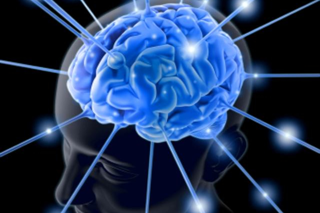 Тренировка полушарий мозга: тесты
