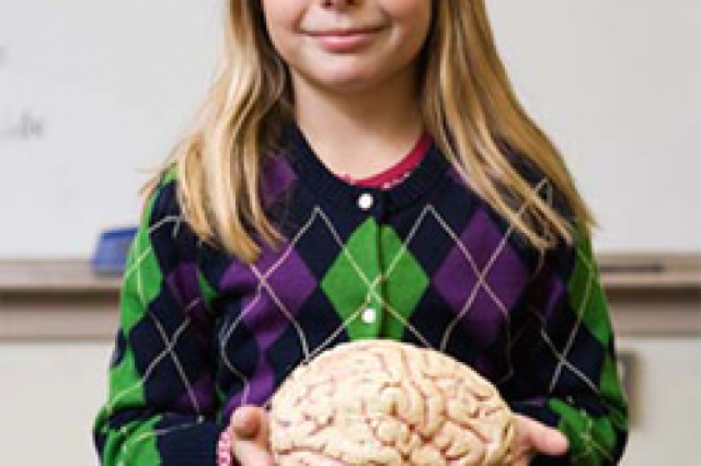 Упражнения для полушарий мозга детей