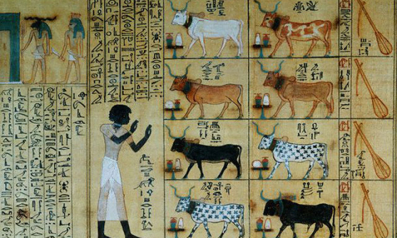 Развитие древнеегипетской письменности и языка