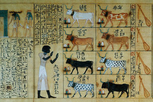 Развитие древнеегипетской письменности и языка