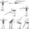 Курс атлетической гимнастики для девушек и женщин