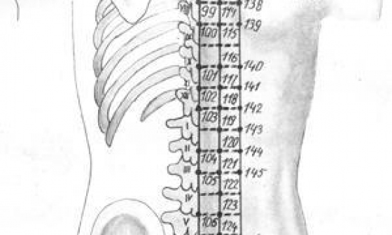 Иглоукалывание по областям тела: область спины