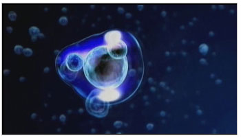 Великая тайна воды