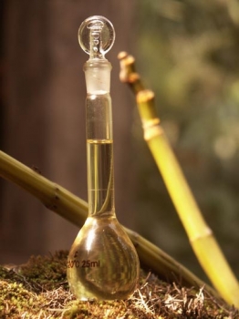 Эфирныe маслa и организм человека