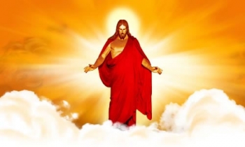 Солнечный иммунитет