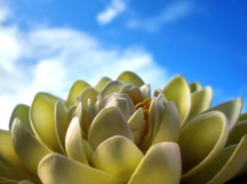 Что значит быть в настоящем моменте. Или как твой ум интерпретирует это