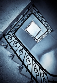 Заблуждения, в которые легко поверить Заблуждения, в которые легко поверить