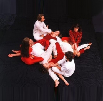 Характеристика органов в Тибетских пульсациях