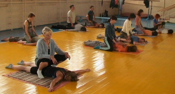 Характеристика органов в Тибетских пульсациях