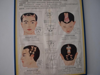 Характеристика органов в Тибетских пульсациях