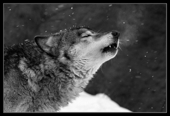 Как преодолеть боль расставания? Как преодолеть боль расставания?