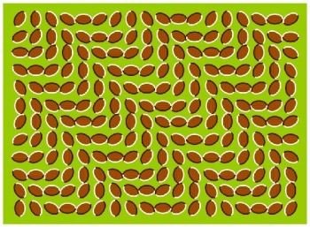 Иллюзии оптические Часть 1