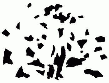 Оптические иллюзии Часть 2