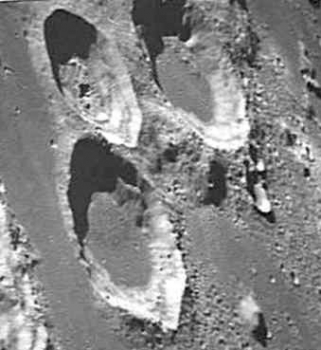 Тренировка полушарий мозга. Тесты