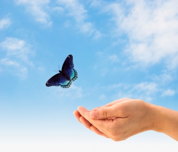 ОШО: Свобода