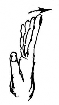 Цигун ЖР. Занятия. Часть 3