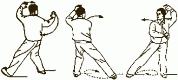 Комплекс из 24 форм. Часть 5 Комплекс из 24 форм. Часть 5