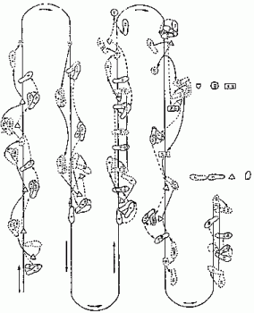 Комплекс из 24 форм. Часть 5 Комплекс из 24 форм. Часть 5