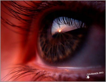 Семь тел человека и уровни приоритетов