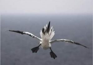 Греческие притчи