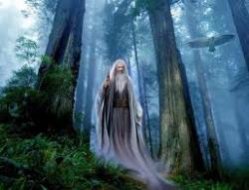 Адыгейские притчи