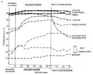 Практика йоги Tуммо. Изменения температуры тела.