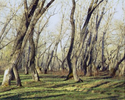 Встречаем весну с йогой