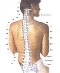 Остеопатия для беременных