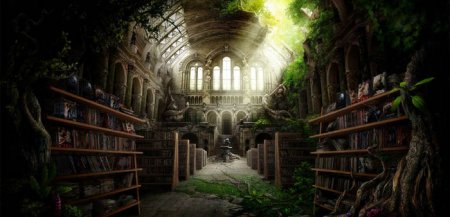 Хроники акаши. Библиотека жизни