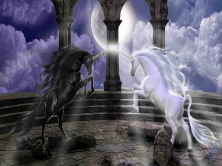 Между светом и тьмой.