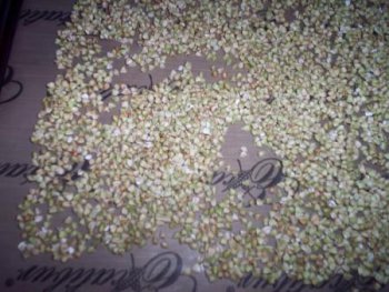 Гречневая каша