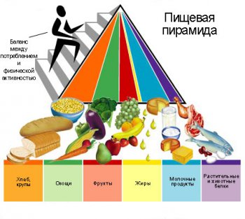 Секреты здорового питания Секреты здорового питания