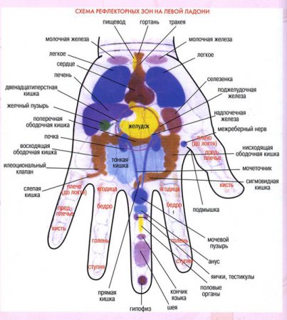 Причины и диагностика болезней по телу