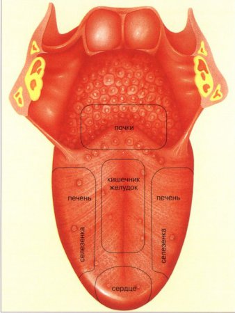 Причины и диагностика болезней по телу
