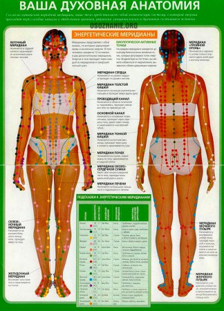Ваша духовная анатомия. Энергетические меридианы. Часть 2