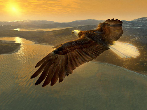 Славянский календарь животных — гороскоп по году и месяцу рождения Картинка 5