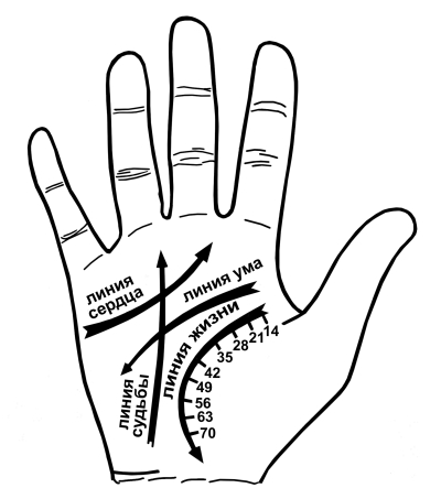 Гадание по ладони: хиромантия для начинающих Изображение 1