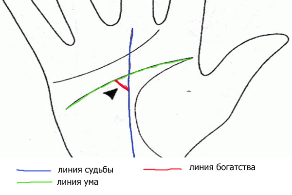 Хиромантия для начинающих: гадание по руке