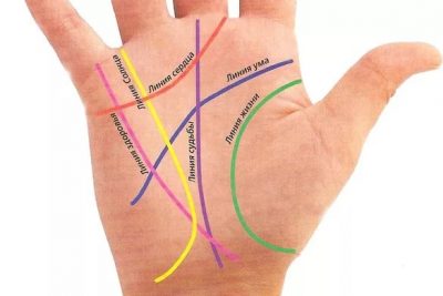 Хиромантия с разъяснениями, значение линий для начинающих Иллюстрация 3