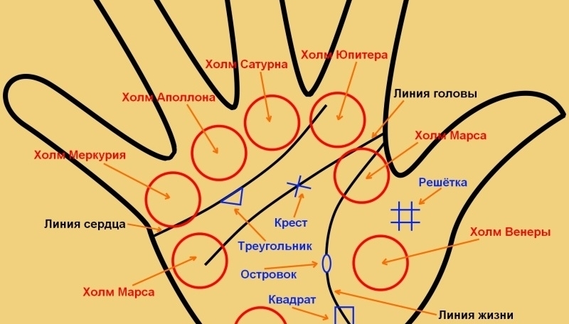 Холм юпитера на ладони фото