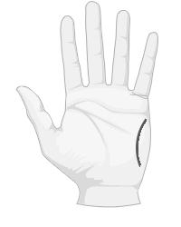 Кольцо Соломона на руке: где оно расположено и его значение Картинка 3