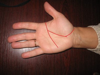 Линия жизни на руке и ее значение в хиромантии Иллюстрация 1